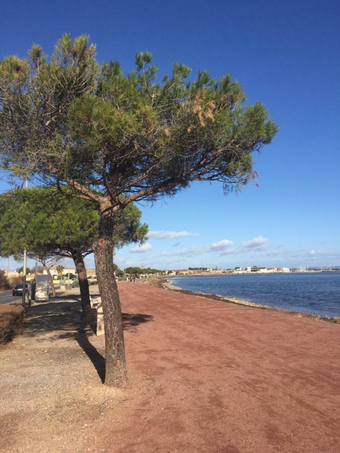 Appartamento la scribote Marseillan  Esterno foto